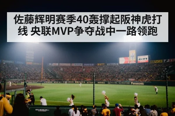 baseball stadium crowd night